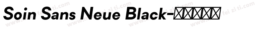 Soin Sans Neue Black字体转换